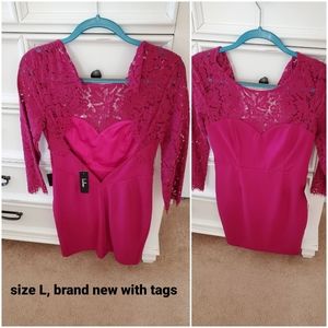 Lace sleeved dress. Brand new with tags.